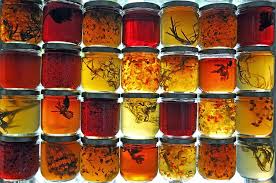 Tutorial de elaboración de jaleas (IV) — Thermofan